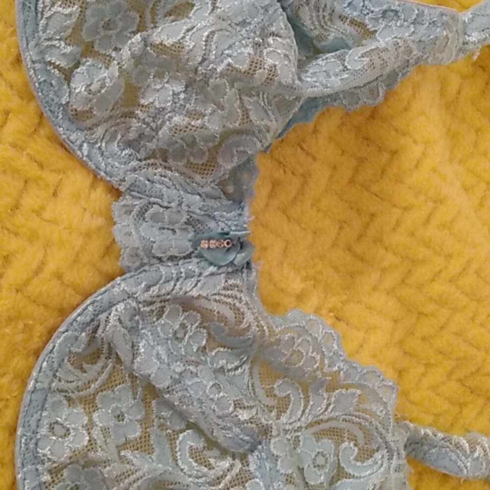 Brand-new Lace Powder Blue Bra